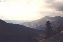 Port de Cab�s (2000)