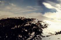 La Rabassa im Mai (2001)