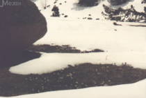 Krokus-"Flecken" - Vall del Madríu (2001)